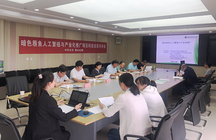 暗色唇鱼人工繁殖与产业化推广 anli.jpg